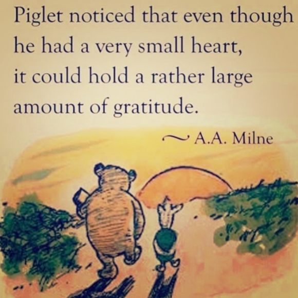 ⚜️ Coldwater Creek Mallard Pull Over Deep Vee  Cap Sleeve/SWEATER VEST EUC M-XL - Picture 3 of 15